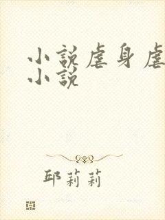 小说虐身虐心的小说封面