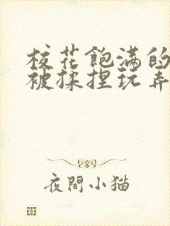 校花饱满的双乳被揉捏玩弄