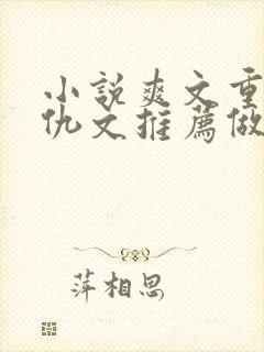 小说爽文重生复仇文推荐做女主