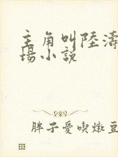 主角叫陆涛的官场小说