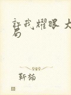 许我耀眼 大结局