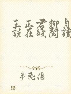 王正君柳月瑶小说在线阅读全文封面