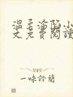 温柔沦陷小说全文免费阅读笔趣阁