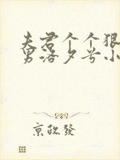 夫君个个狠绝色男洛夕兮小说封面