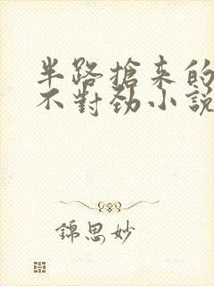 半路抢来的夫君不对劲小说免费阅读封面