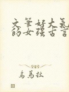 文笔好大气磅礴的女强古言封面