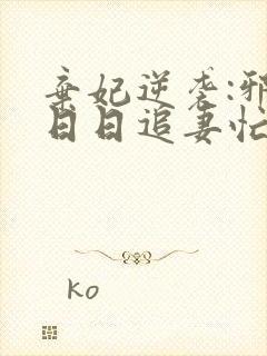 弃妃逆袭:邪王日日追妻忙小说阅读