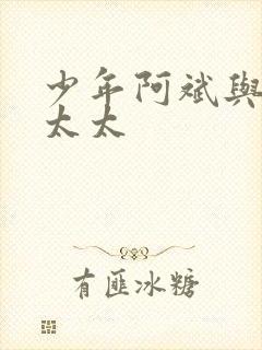 少年阿斌与房东太太