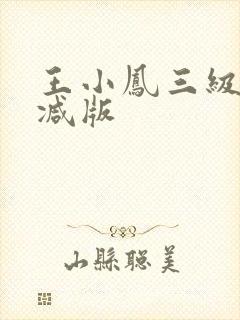 王小凤三级未删减版