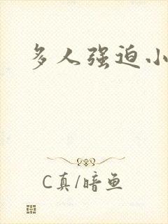 多人强迫小说封面