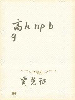 高h np bg封面