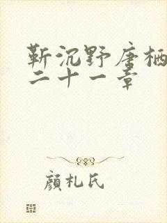 靳沉野唐栖雾第二十一章