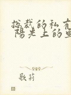 总裁的私有宝贝 阳光上的鱼封面