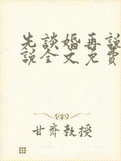 先谈婚再说爱小说全文免费阅读