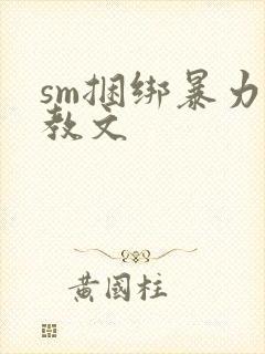 sm捆绑暴力调教文