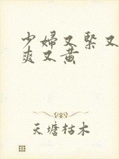 少妇又紧又色又爽又黄