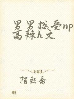 男男总受nph高辣h文封面