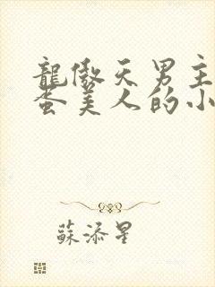 龙傲天男主的笨蛋美人的小说免费阅