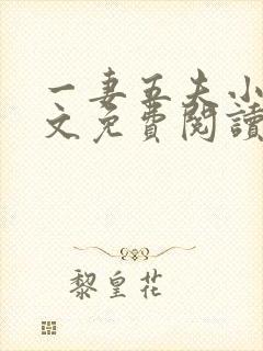 一妻五夫小说全文免费阅读