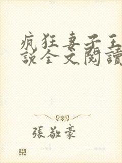 疯狂妻子王慧小说全文阅读