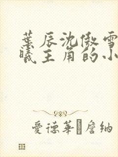 叶辰沈傲雪林若曦主角的小说