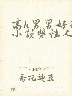 高h男男好舒服小说双性人封面