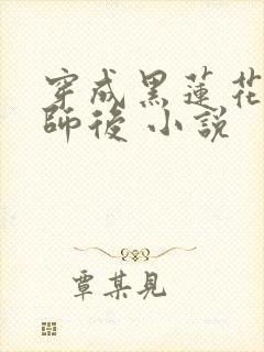 穿成黑莲花的帝师后 小说