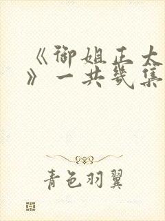 《御姐正太御姐》一共几集