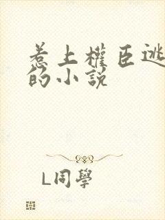 惹上权臣逃不掉的小说