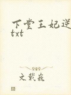 下堂王妃逆袭记txt
