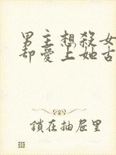 男主想杀女主但却爱上她古言封面