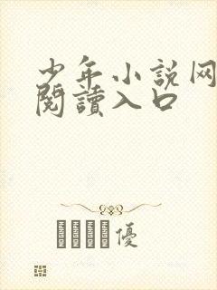 少年小说网免费阅读入口
