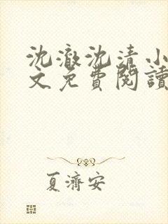 沈澈沈清小说全文免费阅读最新章节封面