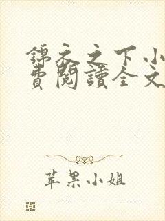 锦衣之下小说免费阅读全文无删减