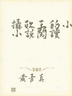 摄政王的小闲妻小说阅读封面