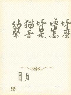 幼猫呼噜呼噜的声音是怎么回事