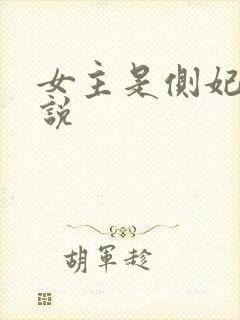 女主是侧妃的小说