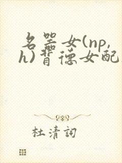 名器女(np,h)背德女配h