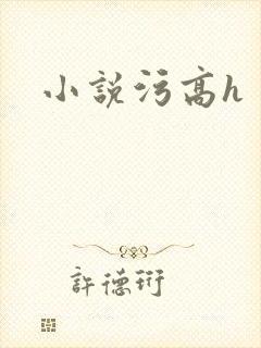 小说污高h