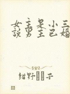 女主是小三的小说男主已婚是高干封面