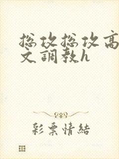 总攻总攻高辣h文调教h