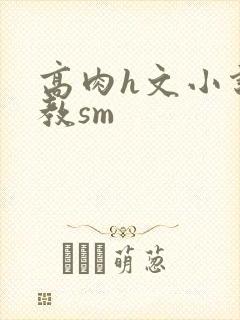 高肉h文小说调教sm