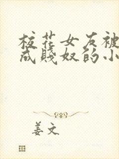 校花女友被调教成贱奴的小说封面