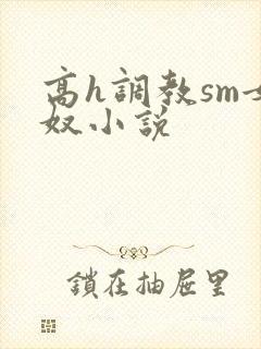 高h调教sm女奴小说