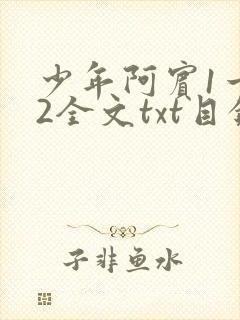 少年阿宾1一72全文txt目录