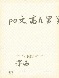 po文高h男男
