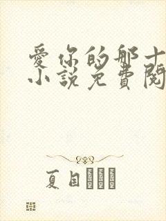 爱你的那十一年小说免费阅读封面