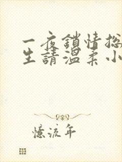 一夜锁情总裁先生请温柔小说全集完整版txt