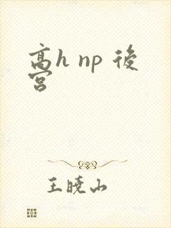 高h np 后宫