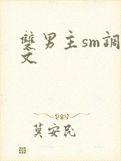 双男主sm调教文
